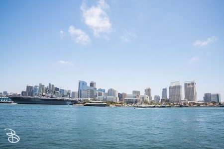 sd-whale-watch-9