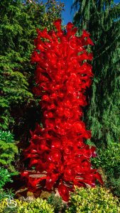seattle_2022-seattle_museums-48