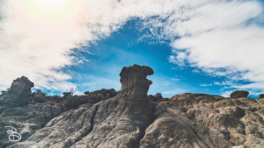 theodore-roosevelt-np-6
