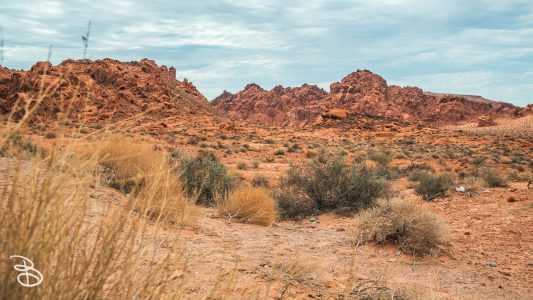 vegas-p2-2022-nature-18