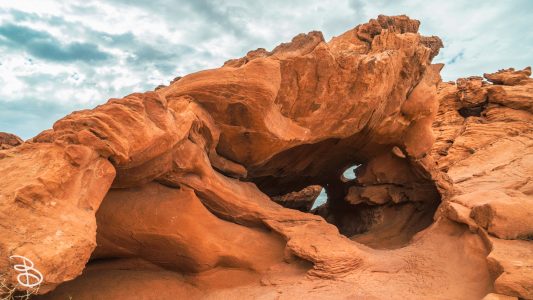 vegas-p2-2022-nature-19