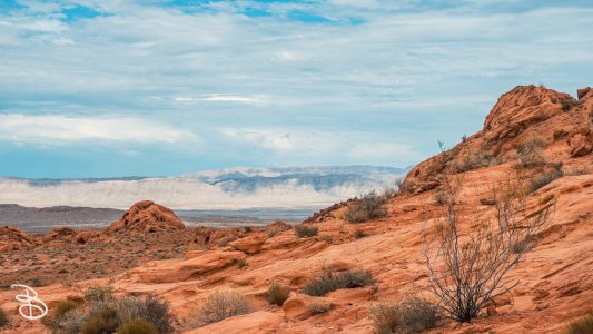 vegas-p2-2022-nature-21