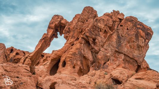 vegas-p2-2022-nature-22