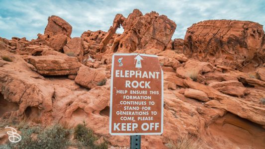 vegas-p2-2022-nature-23