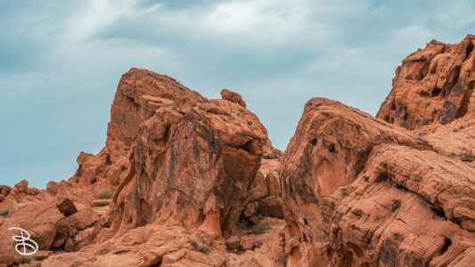 vegas-p2-2022-nature-24