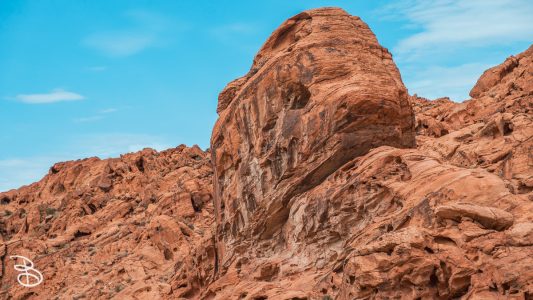 vegas-p2-2022-nature-31