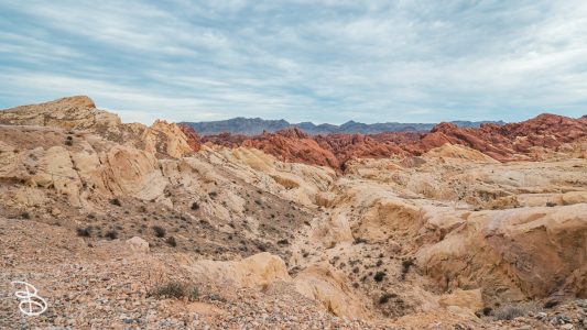 vegas-p2-2022-nature-36