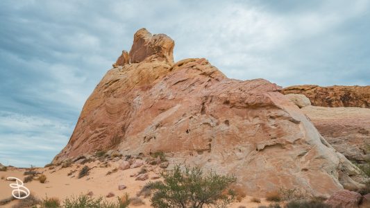 vegas-p2-2022-nature-37