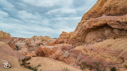 vegas-p2-2022-nature-38