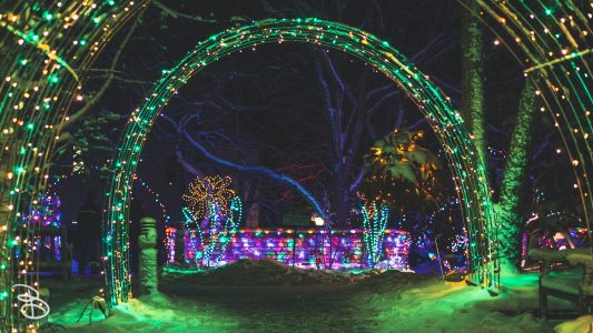 winter_wonderland_2019-1