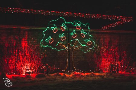 winter_wonderland_2019-11