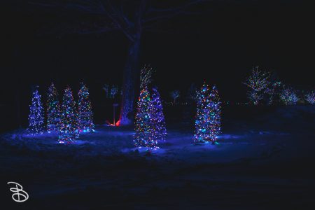 winter_wonderland_2019-12