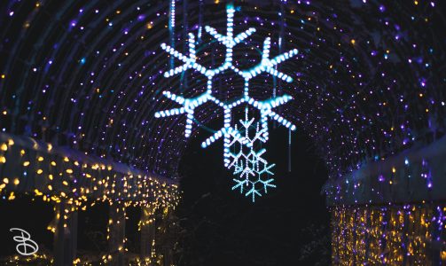 winter_wonderland_2019-13