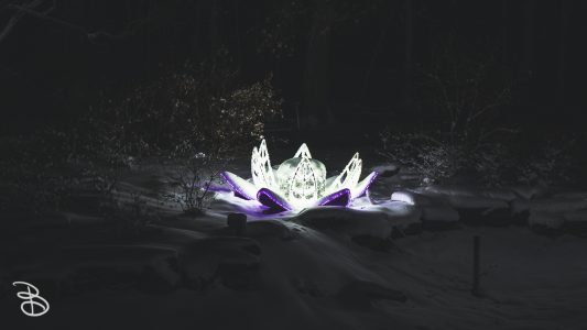 winter_wonderland_2019-16