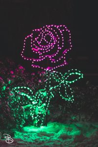 winter_wonderland_2019-18