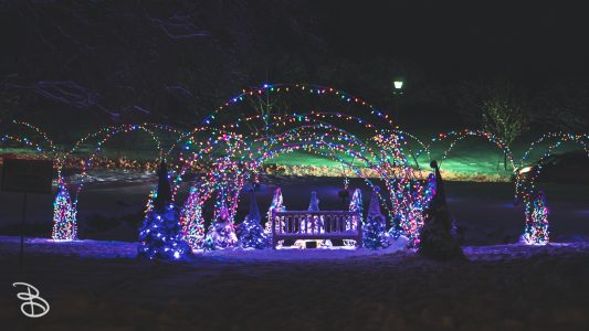 winter_wonderland_2019-19