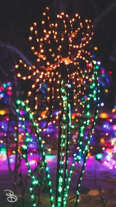winter_wonderland_2019-2