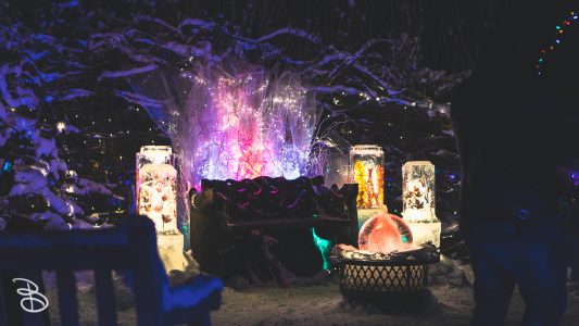 winter_wonderland_2019-4