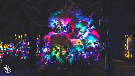 winter_wonderland_2019-5