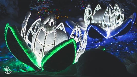 winter_wonderland_2019-6