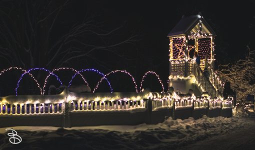 winter_wonderland_2019-8