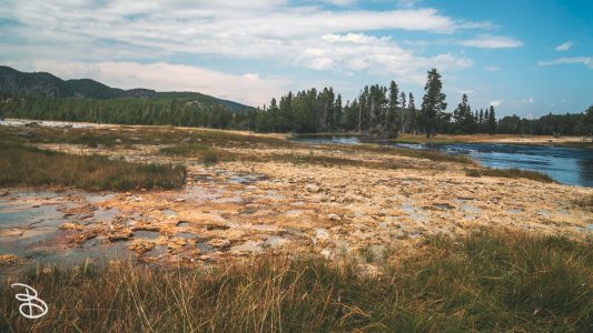 ynp-biscuit-basin-1