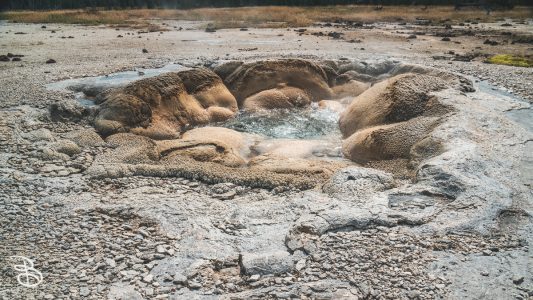 ynp-biscuit-basin-11
