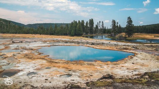 ynp-biscuit-basin-2