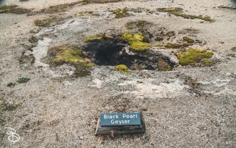 ynp-biscuit-basin-6
