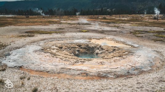 ynp-biscuit-basin-7