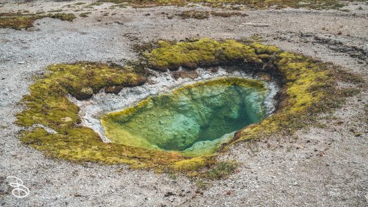 ynp-biscuit-basin-8