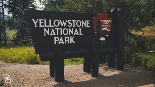 ynp-general-1