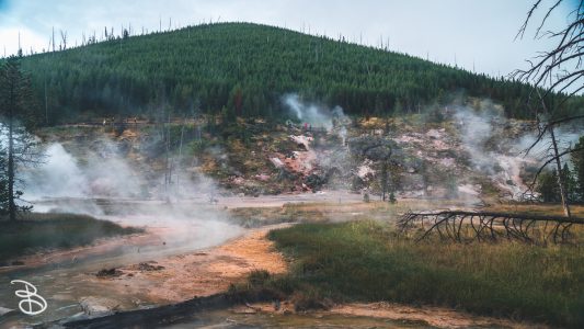ynp-general-10