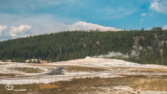ynp-general-13