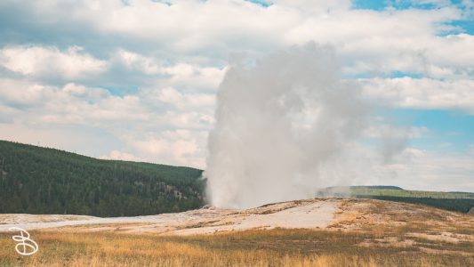 ynp-general-14