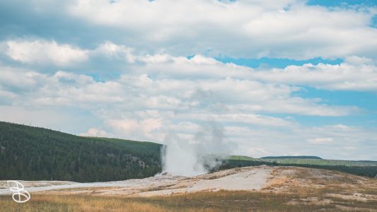 ynp-general-15