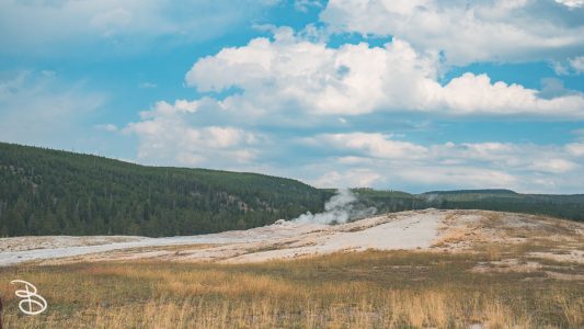 ynp-general-16