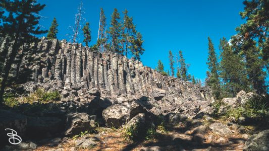 ynp-general-21
