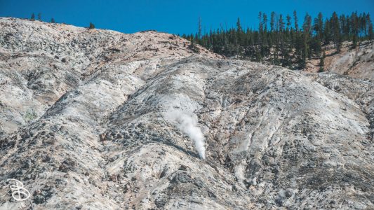 ynp-general-22