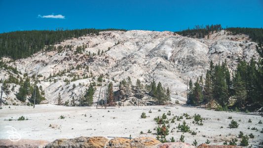 ynp-general-23