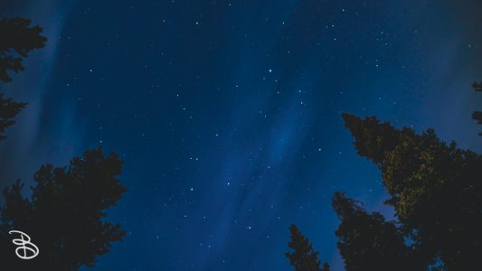 ynp-general-3