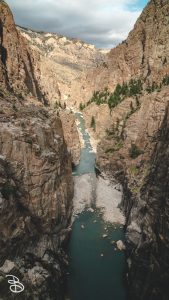 ynp-general-40