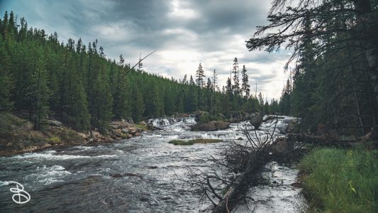 ynp-general-5