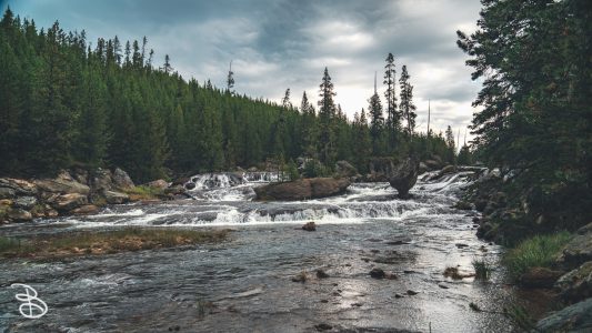 ynp-general-6
