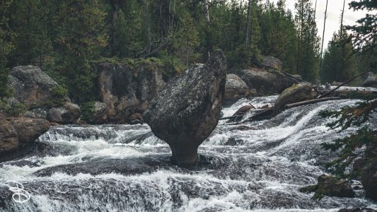 ynp-general-7