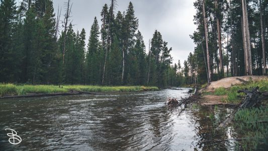 ynp-general-8