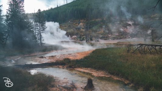 ynp-general-9