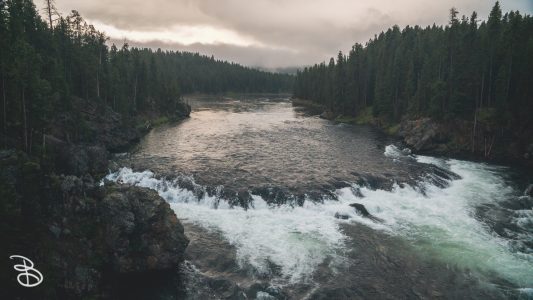 ynp-grand-canyon-1