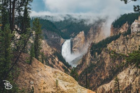ynp-grand-canyon-10