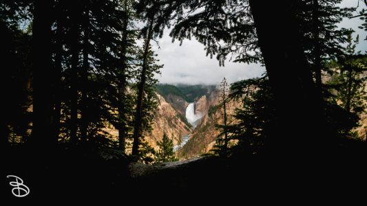 ynp-grand-canyon-11